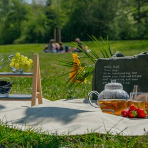 Picknickkleed